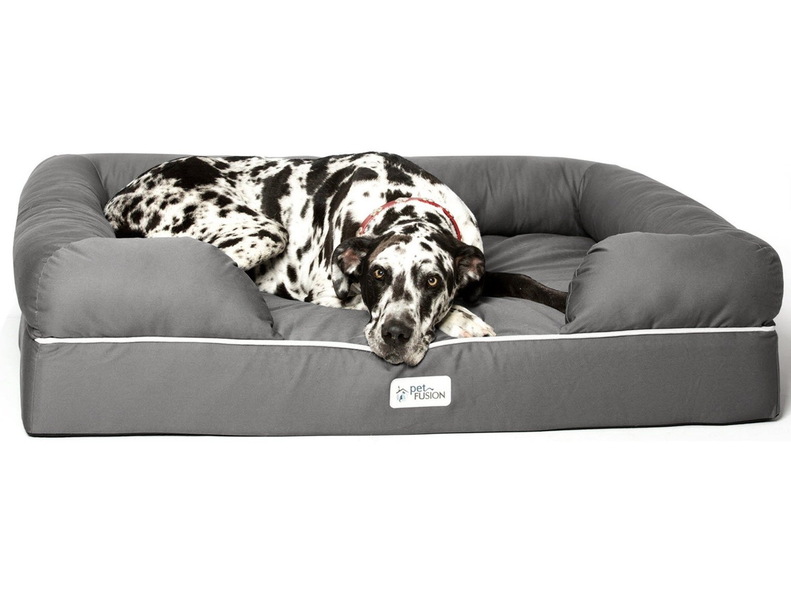 Why Petfusion Ultimate Dog Bed Will Change Your Life